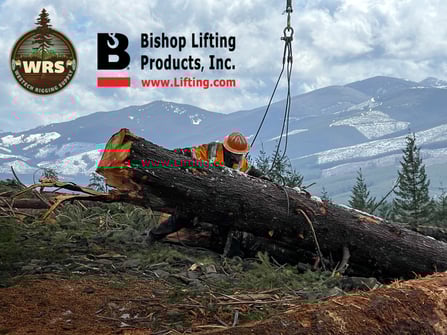 Westech-Bishop-Lifting-graphic